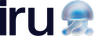Iru